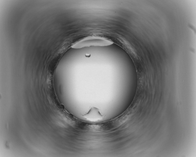 X0000095900265200802011135