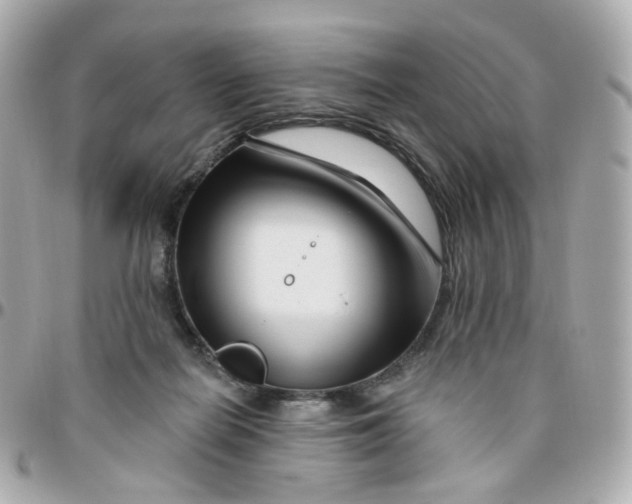 X0000095900266200802011135