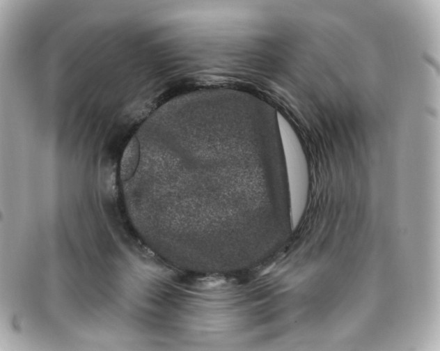 X0000095900267200802011135