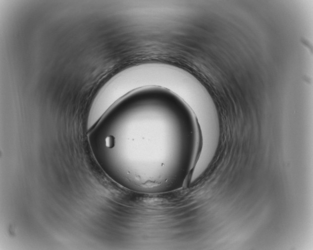 X0000095900268200802011135