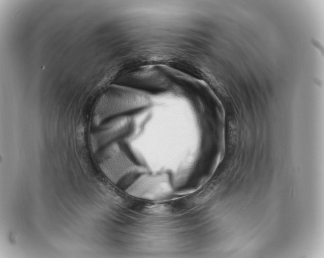 X0000095900269200802011135