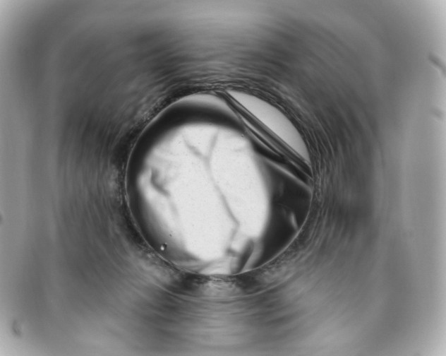 X0000095900270200802011135