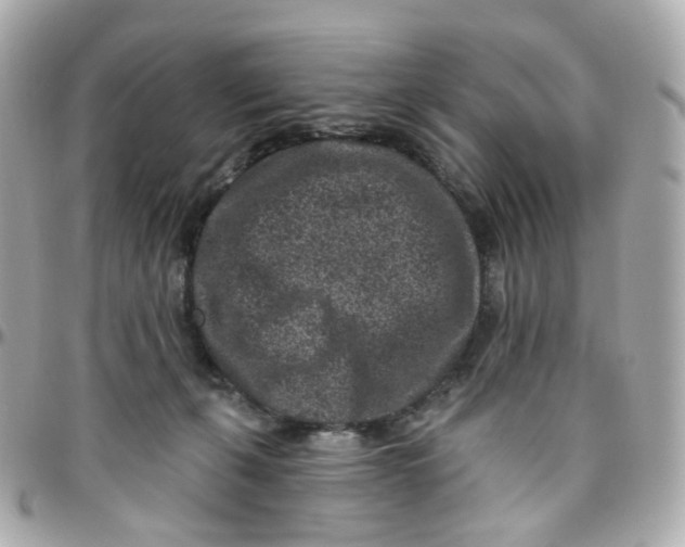 X0000095900271200802011135