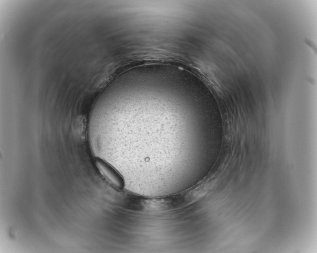 X0000095900273200802011135