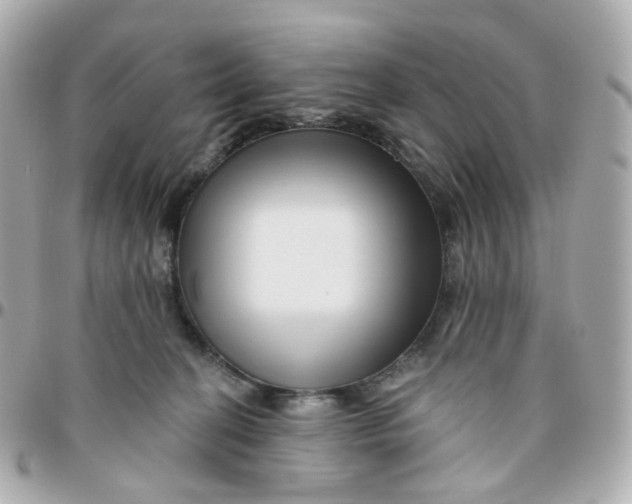 X0000095900274200802011135