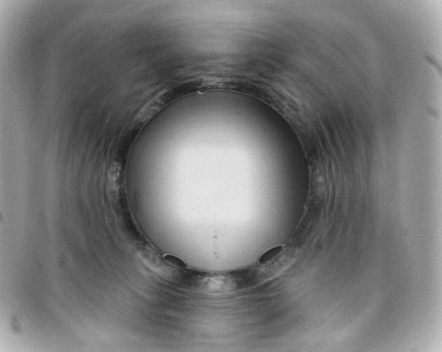 X0000095900275200802011135