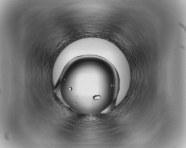 X0000095900276200802011135