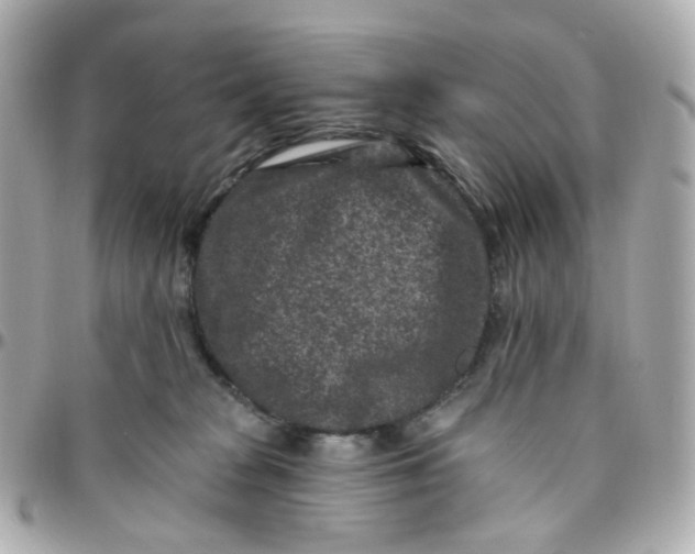 X0000095900277200802011135