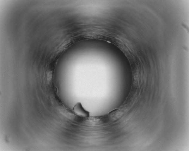 X0000095900278200802011135