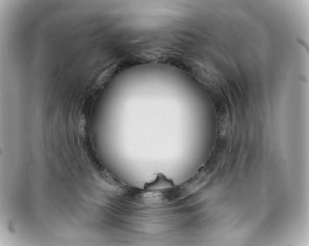 X0000095900279200802011135