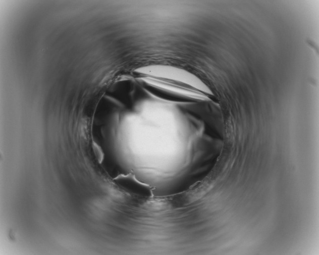 X0000095900280200802011135