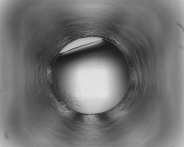 X0000095900281200802011135