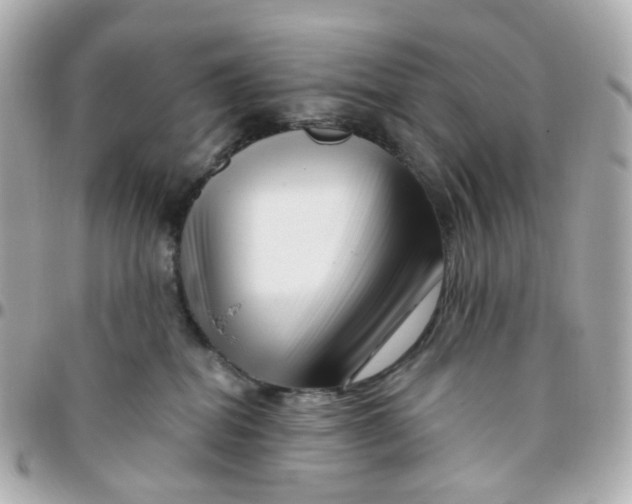 X0000095900282200802011135