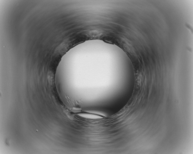 X0000095900283200802011135