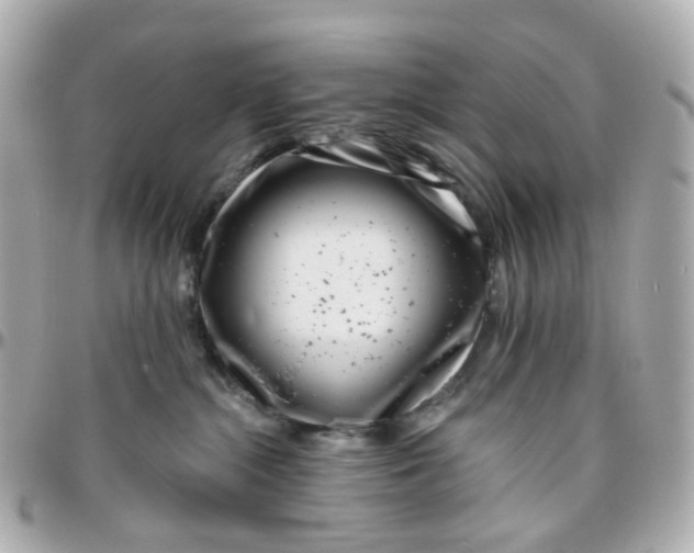 X0000095900284200802011135