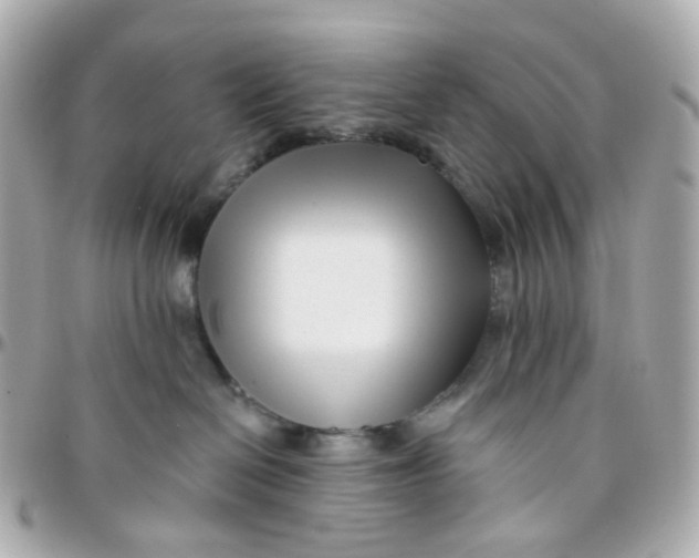 X0000095900286200802011135