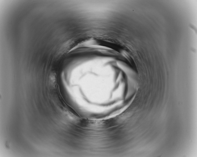 X0000095900288200802011135