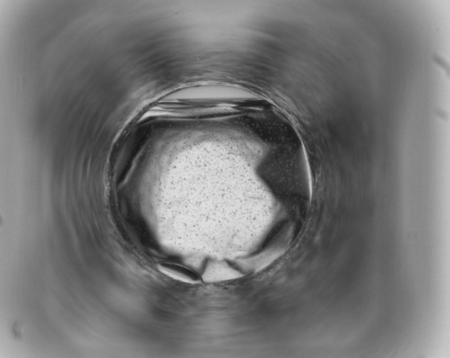 X0000095900290200802011134