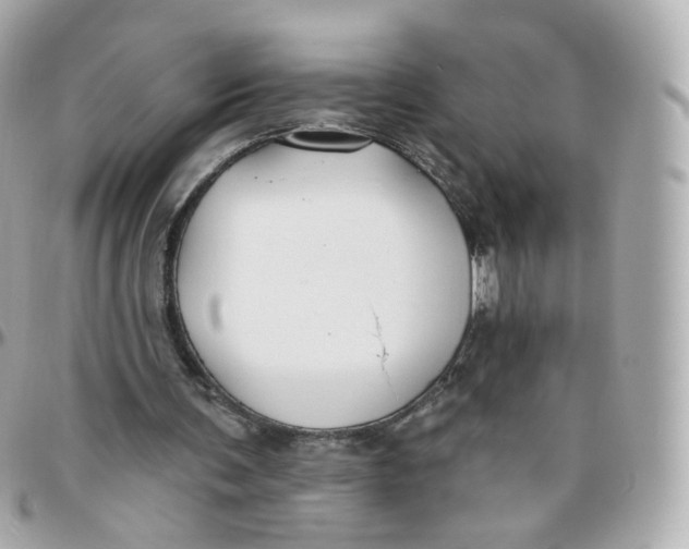 X0000095900291200802011134