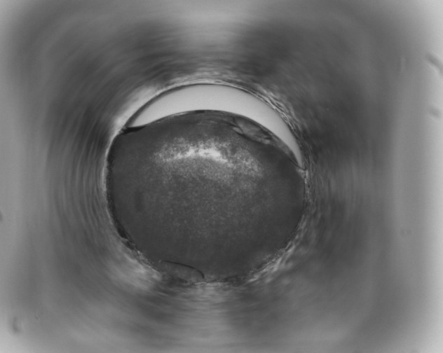 X0000095900292200802011134