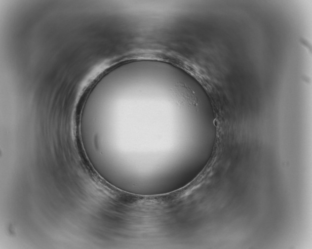 X0000095900294200802011134