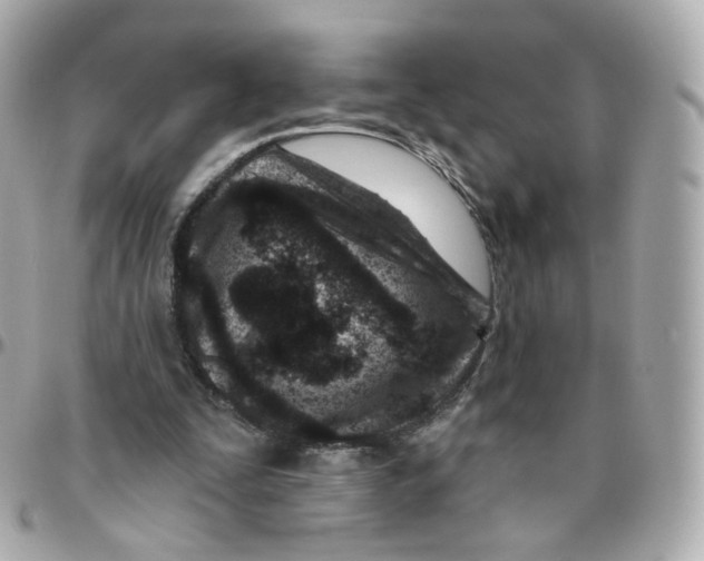 X0000095900295200802011134