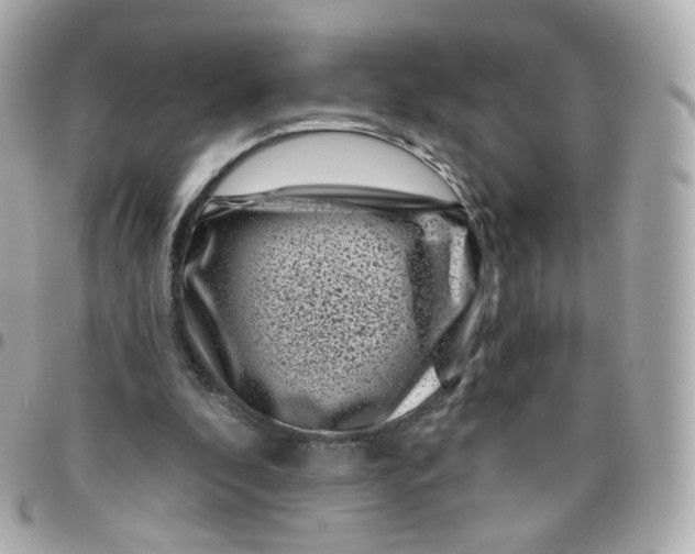 X0000095900296200802011134