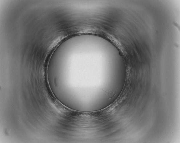 X0000095900298200802011134