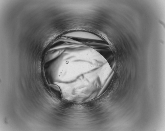 X0000095900299200802011134