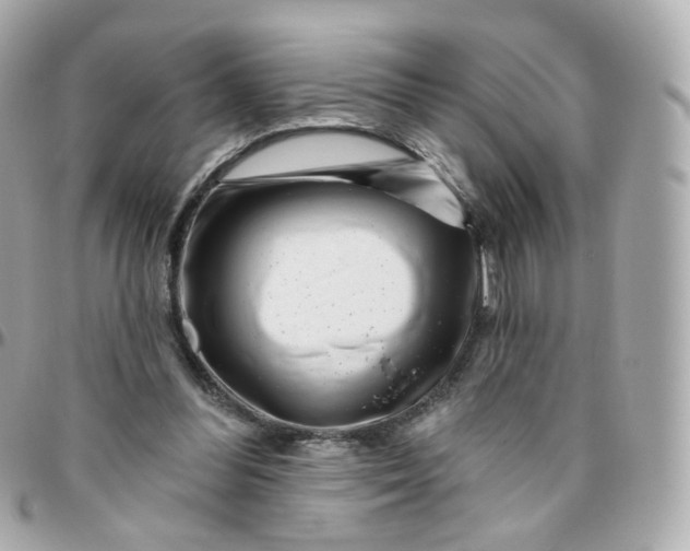 X0000095900300200802011134