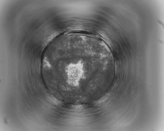 X0000095900301200802011134