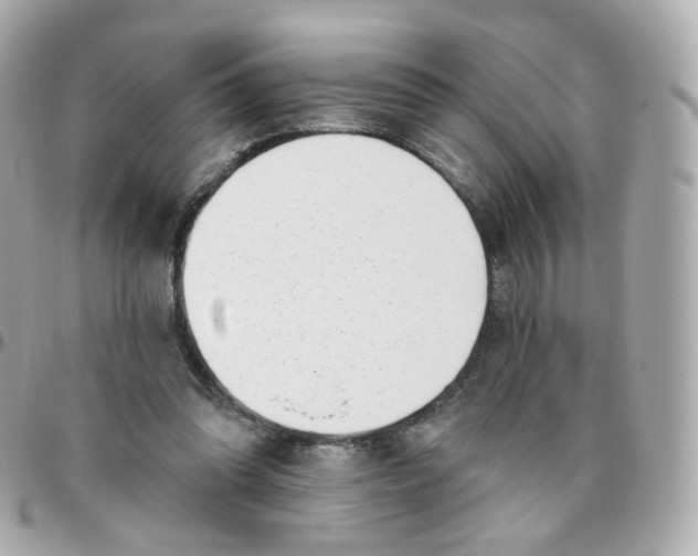 X0000095900302200802011134