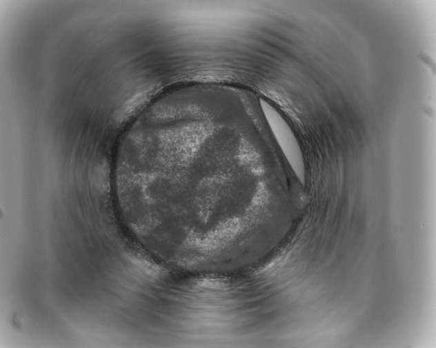 X0000095900303200802011134