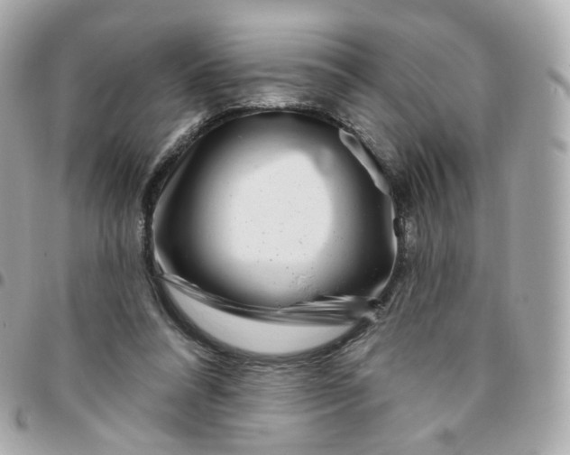 X0000095900304200802011134