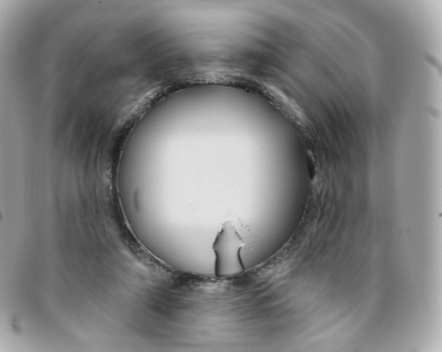 X0000095900306200802011134