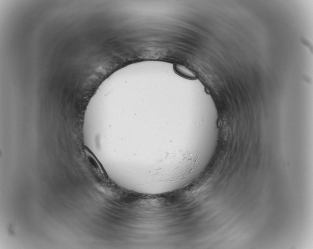 X0000095900307200802011134