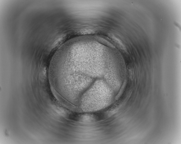 X0000095900308200802011134