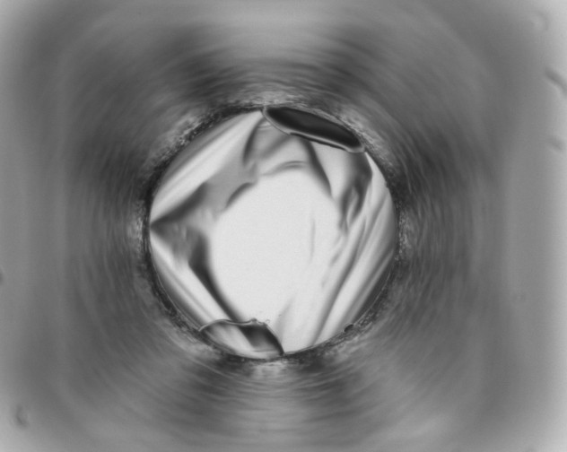 X0000095900309200802011134