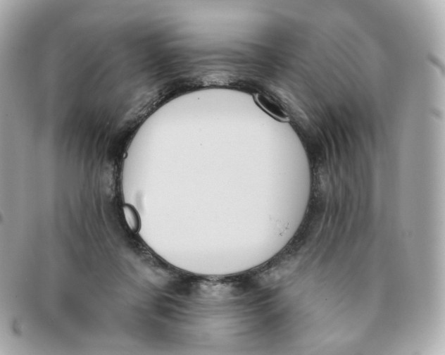 X0000095900311200802011134