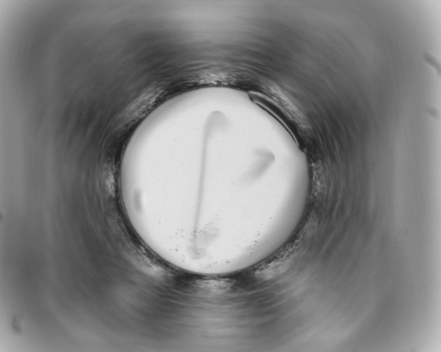 X0000095900313200802011134