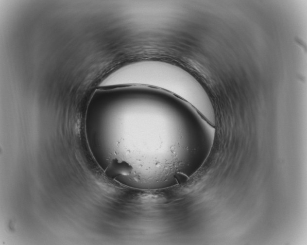 X0000095900315200802011134