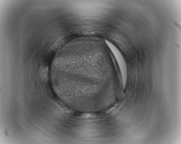 X0000095900319200802011134