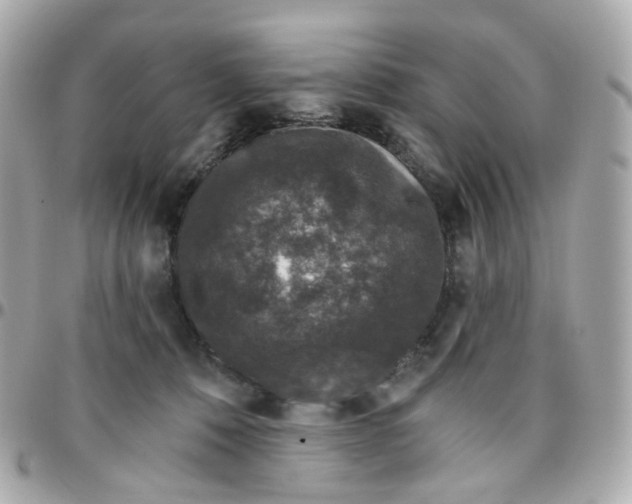 X0000095900320200802011134