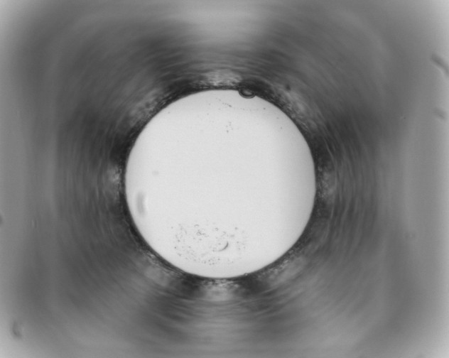 X0000095900321200802011134