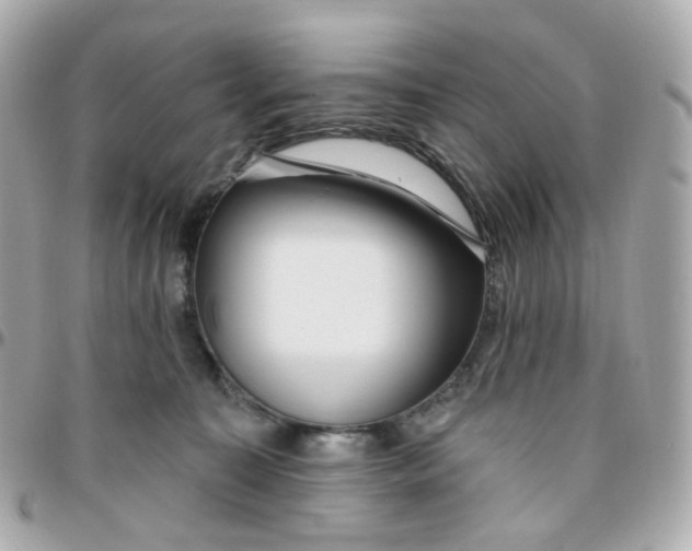 X0000095900323200802011134