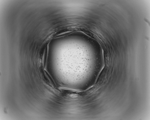 X0000095900324200802011134