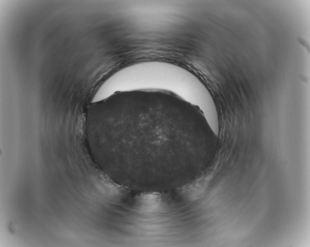 X0000095900325200802011134