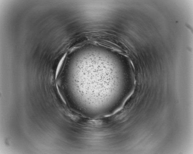 X0000095900328200802011134