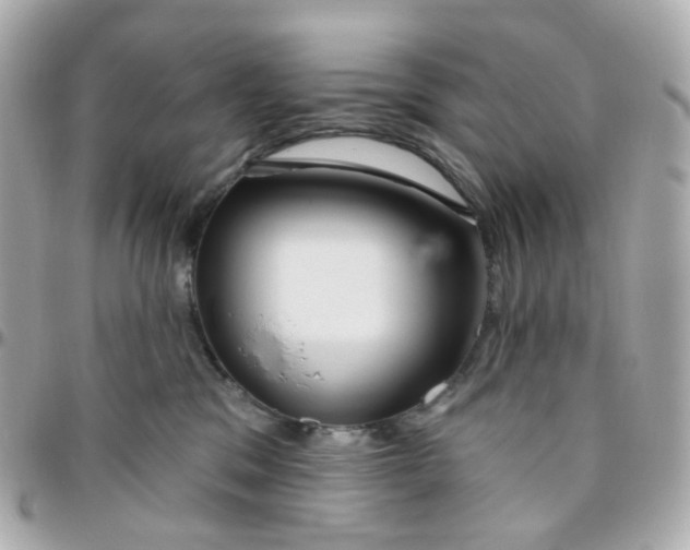 X0000095900329200802011134