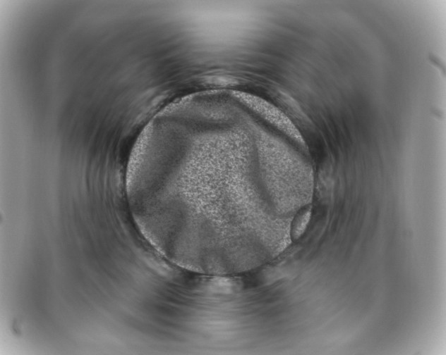 X0000095900330200802011134